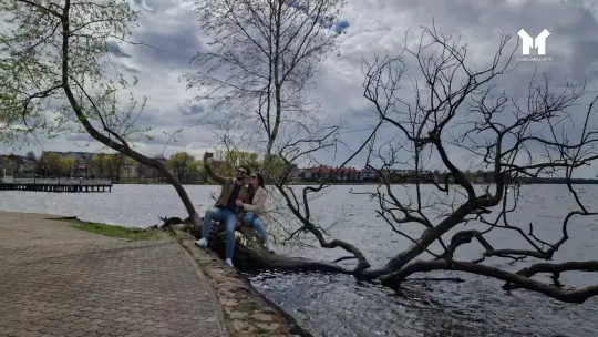 Ikoniczne drzewo z bulwaru padło ofiarą wichury!