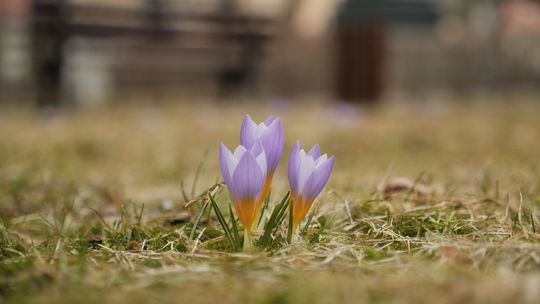 MARZEC NIE TYLKO Z KSIĄŻKĄ