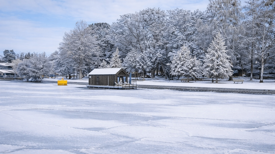 Na lądzie czy na wodzie?