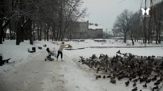 Żywe symbole Ostródy