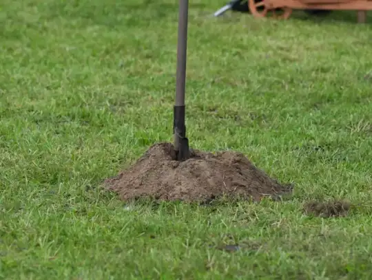 181 URODZINY KANAŁU ELBLĄSKIEGO