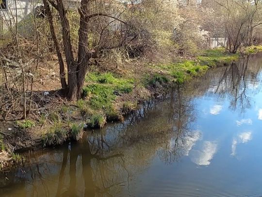 BRUDNE NABRZEŻE, CZYSTA RZEKA