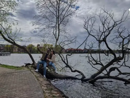 Ikoniczne drzewo z bulwaru padło ofiarą wichury!