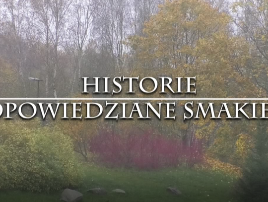 KONIECZNIE ZOBACZCIE JAKIE HISTORIE OPOWIEDZIANO NA WZGÓRZACH DYLEWSKICH