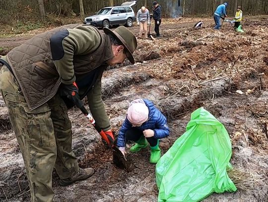 LAS ROŚNIE DŁUGO, PŁONIE SZYBKO