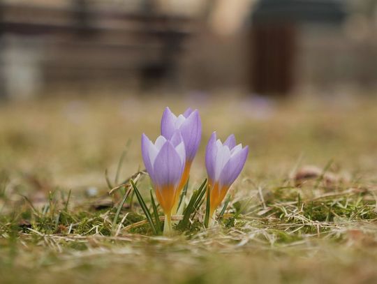 MARZEC NIE TYLKO Z KSIĄŻKĄ