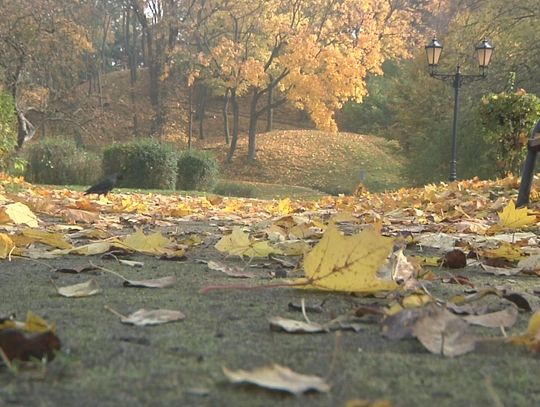 NIDZICA JESIENNĄ PORĄ 