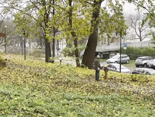 Nowe tablice w ogrodzie różanym