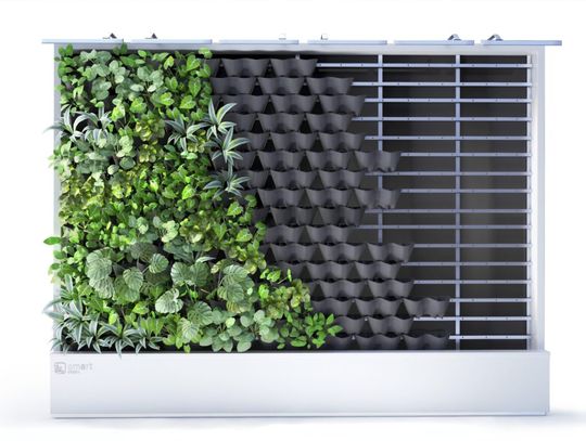 Nowoczesne wnętrza tworzone z ogrodów wertykalnych i ścian zielonych