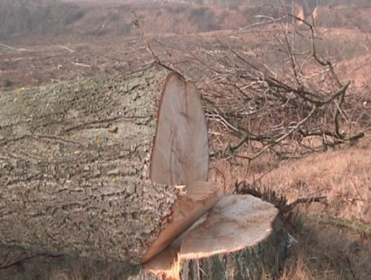 OBWODNICA OSTRÓDY CORAZ BLIŻEJ