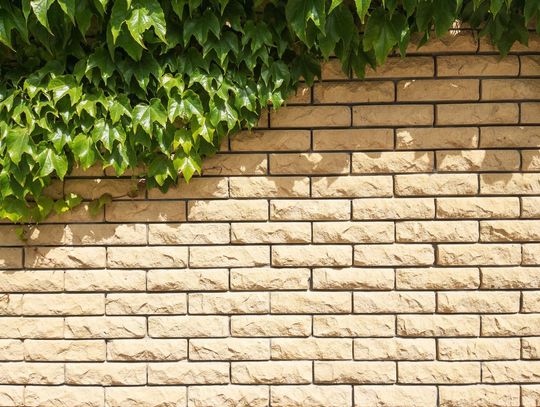 Ogrodzenie z cegły łupanej ? zalety i wady