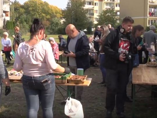 PIKNIK RODZINNY KOALICJI OBYWATELSKIEJ