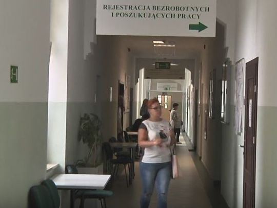 PO PRACĘ DO URZĘDU