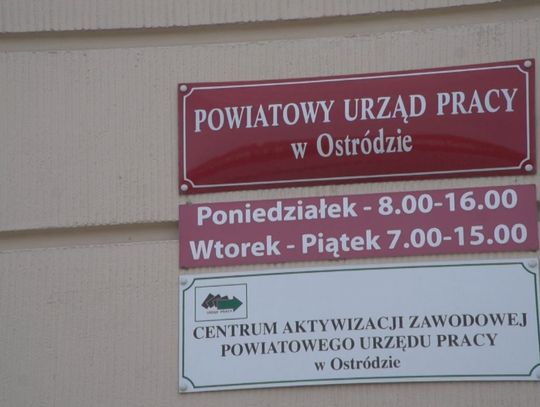  PUP POMAGA ZDOBYĆ PRACĘ UKRAIŃCOM