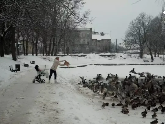 Żywe symbole Ostródy