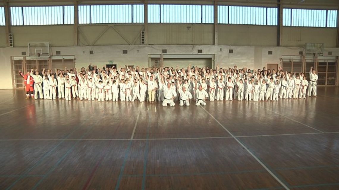 EGZAMIN KYOKUSHIN KARATE