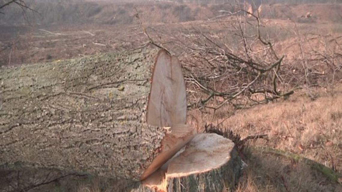 OBWODNICA OSTRÓDY CORAZ BLIŻEJ